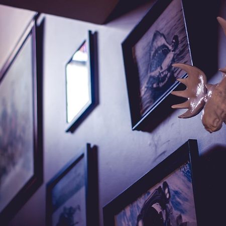 فندق ذا جرين روف نيو كاسل المظهر الخارجي الصورة